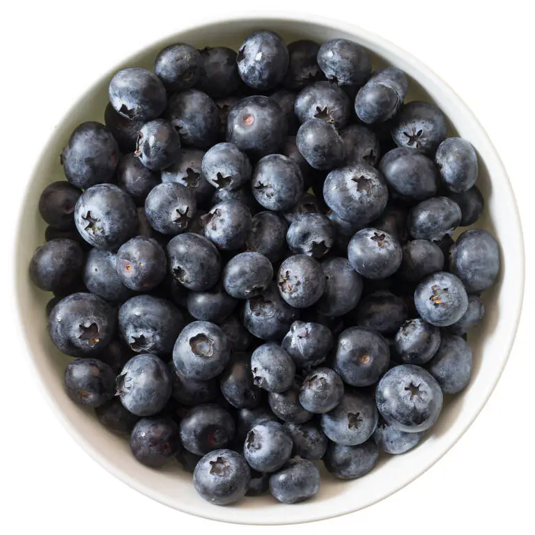 8061XX99 - blueberries.webp